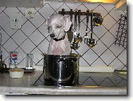 Va�en� i pe�en�