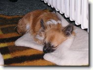 Tepeln� akumul�tor