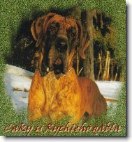 Caky u Rychl�ho ��bla