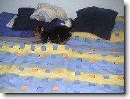 Po koup�n� se sna��m co nejrychleji osu�it...