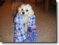 ... pokra�ov�n�...