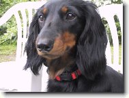 D�ja ze �t�kotu