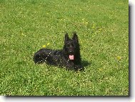 Po del�� proch�zce si r�d odpo�inu