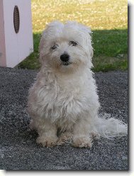 Mike�ek ze �ukova