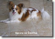 Chlad�m se na dla�b�