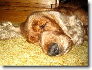 nejobl�ben�j�� poloha