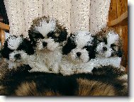 �t���tka na�� Valdy