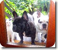 Tak pust�n�s pani�ko.