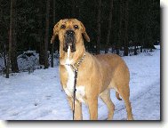 Osana Str�nick� R�j