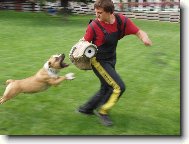 Gassy(Herby Hradn� sklep)