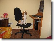 Co se v ml�d� nau��... :-)