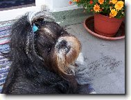 Kdy� nechci, tak nechci