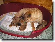 �arpej� miminka - 1 t�den