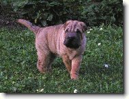 �t�n� - 7 t�dn�