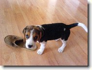 zkus mi ji vz�t!!!