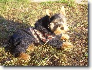 podzimn� oble�ek...slu�� mi to �e?:-)