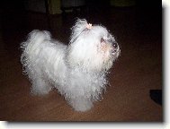 Moje l�ska.........Deli