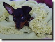 Uzl��ek 3 m�s�ce