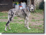 Dnes je mi 6 m�s�c�