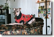 peruansk� nah��