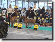 Sv�tov� v�stava Pozna�  06