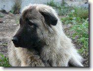 Baryk , v�k 10 m�s�c�