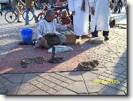 Setk�n� s kobrou