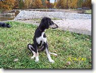 Mir�ja z Farzist�nu