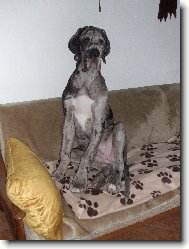 pan ATTILA - 4 m�s�ce