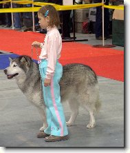 Ml�d� a st���