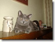 Na�e pohodov� Bukynka