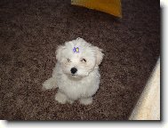 S cul��kem podruh�