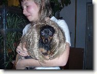 Jerry v p�estrojen�:)