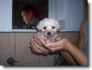 Time�ek z Broumova