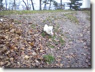 U� let����m