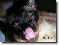 jee to je jaz��ek :-)