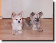 Kerina a Denis n� p�re�ek