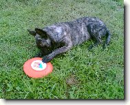 Bady Rolf aus M�hrischen Bergen