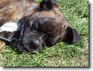 Baru�ka odpo��v�