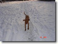 l�taj�c� �estm�r