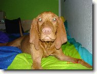 v pe�in�ch taky moc dobr�