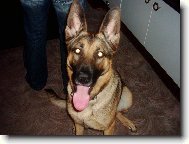 M�j pejs�nek :o)