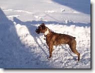 Elinka s kamar�dkou