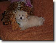 J� a m�j zaj�c