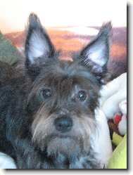 Jak se v�m l�b�m