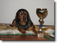 Takhle jsem byl �ikovn�