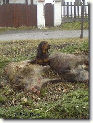 Takhle jsem byl �ikovn�