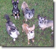 Tak copak n�m hod�, pani�ko ?