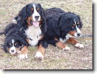 Fabio,Lusy a Eli�ka