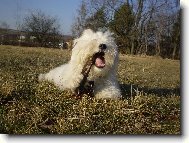 To jsem si na�el hezk� klac�k:)